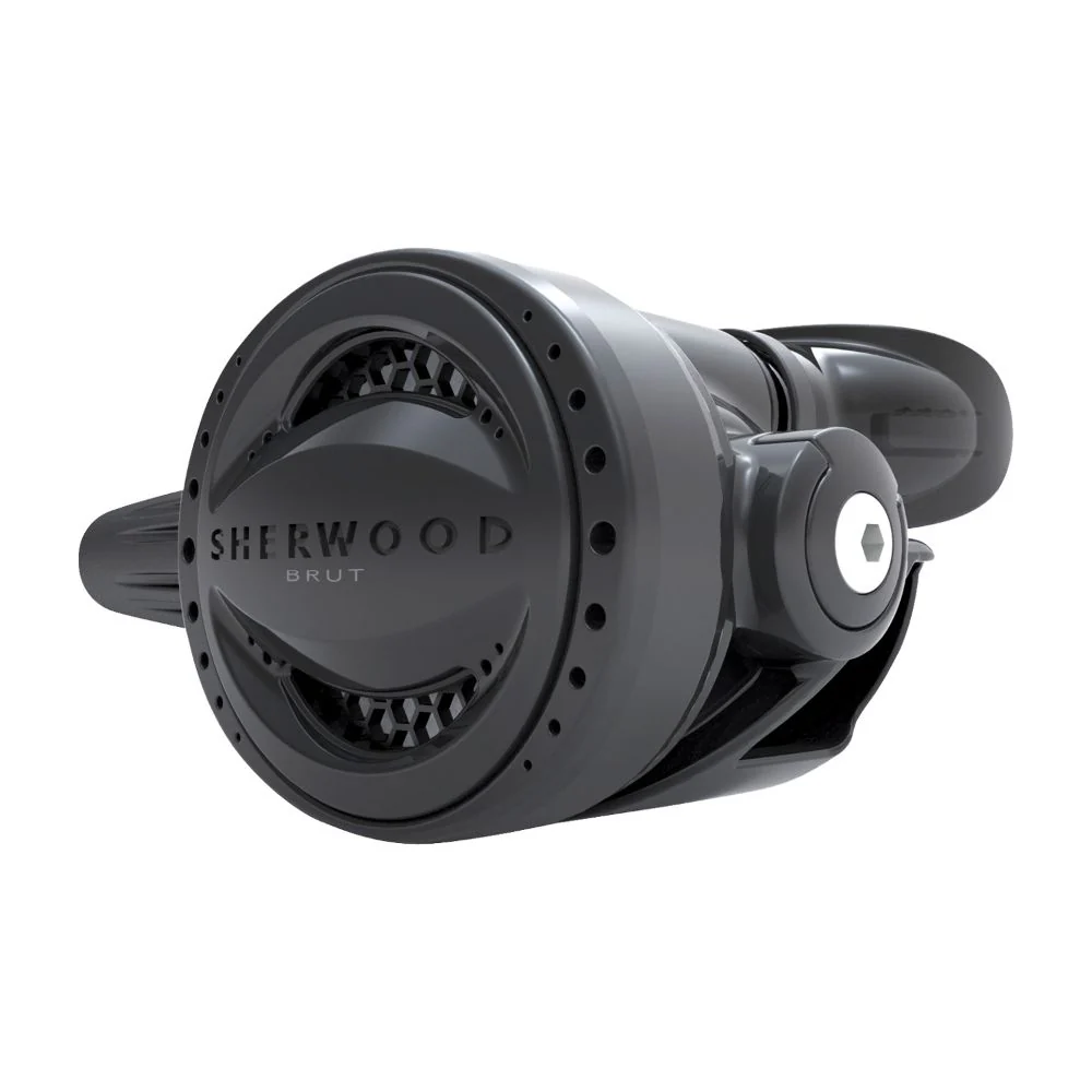 Sherwood Brut Pro Din Regulator - Image 5