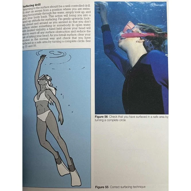 Snorkelling for All - Image 3